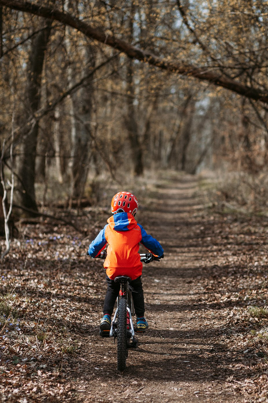 Kid with woom Mountainbike in the woods